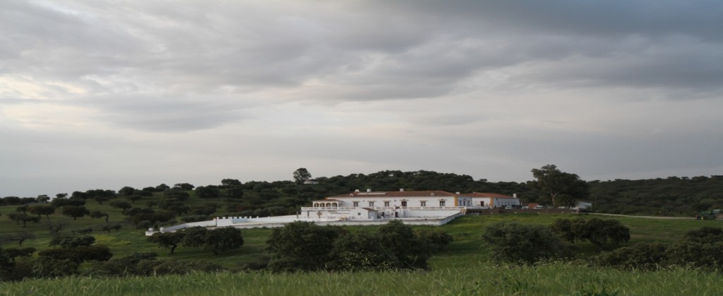 Herdade da Coitadinha, which used to be a state, was acquired by EDIA in order “to promote the rural development through the practical demonstration of an agricultural, touristic and environmental conservation project”.