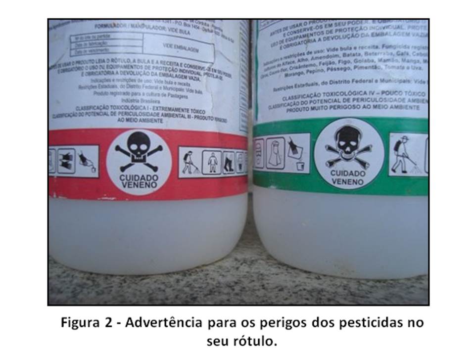 Pesticidas: A verdadeira praga?