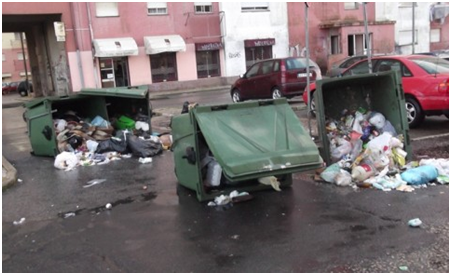 Casal de Cambra acordou com as ruas cheias de lixo