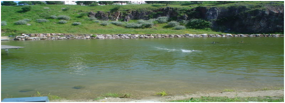 Lago Poluído