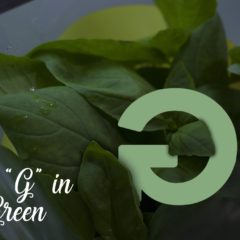 G in Green