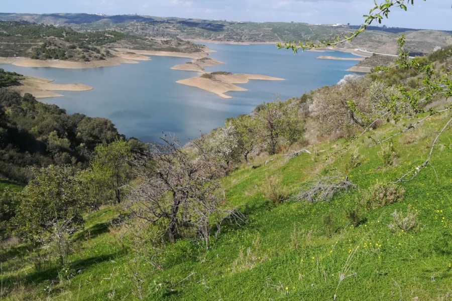 Falta de água no Algarve é cada vez mais significativa