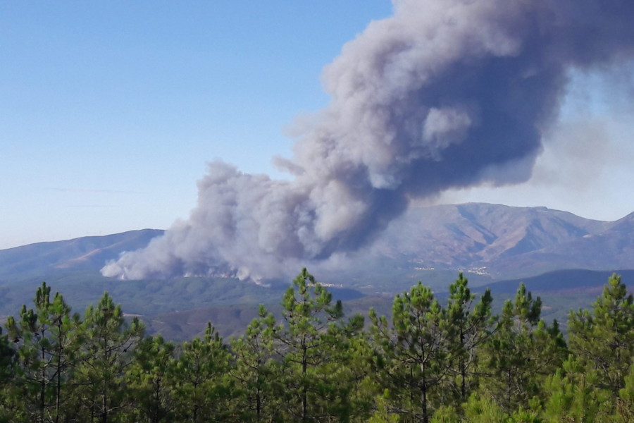 O que terá mudado após os incêndios de 2017?