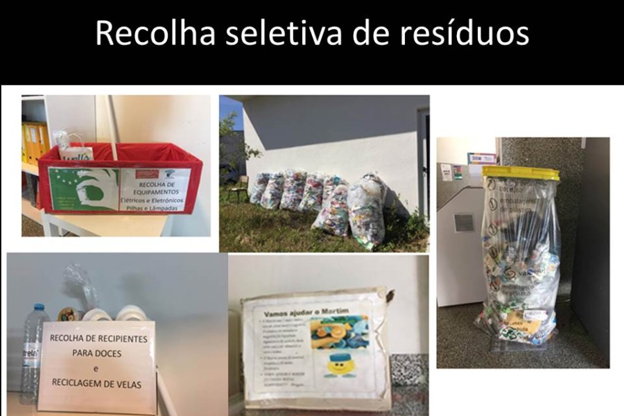 Recolha seletiva de resíduos  – perceção de uma comunidade escolar