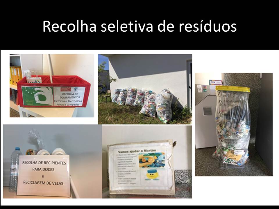 Recolha seletiva de resíduos  – perceção de uma comunidade escolar