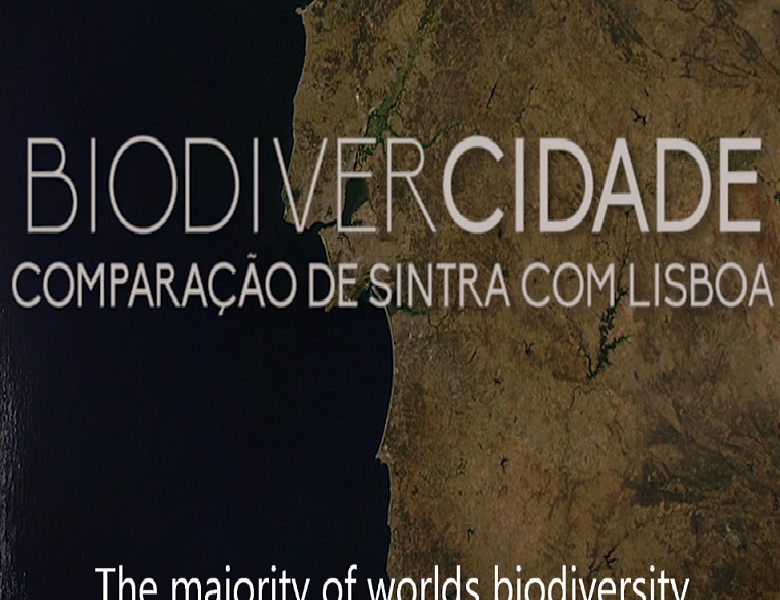 BiodiverCidade – comparação de Lisboa com Sintra