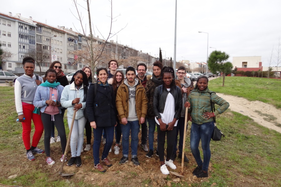 Lisboa: a nossa cidade vestida de verde       / Lisbon: our city dressed in green