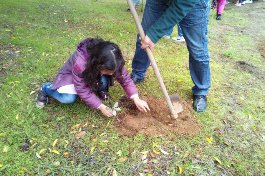 Os ecoestudantes de Pias e a lei que salva a floresta