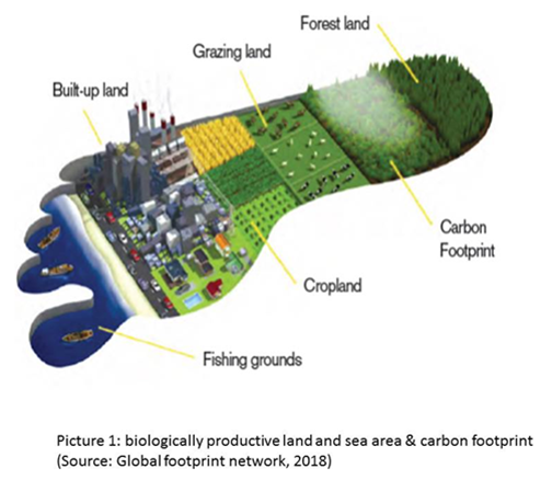 Study on Carbon Footprint  – An international collaborative project