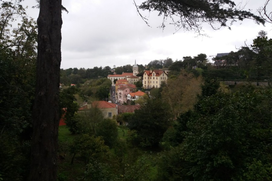 A Biodiversidade em Sintra