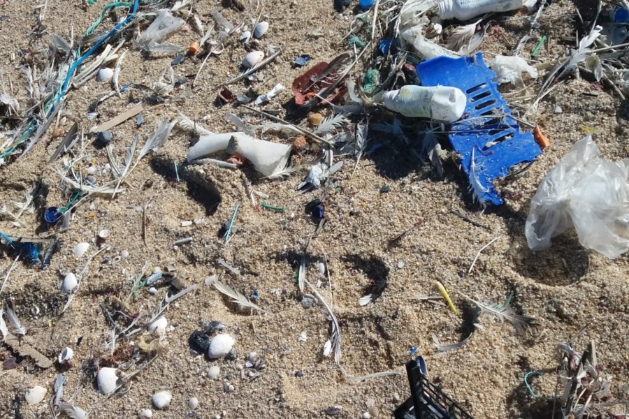 Poluição marinha nas praias de Sines