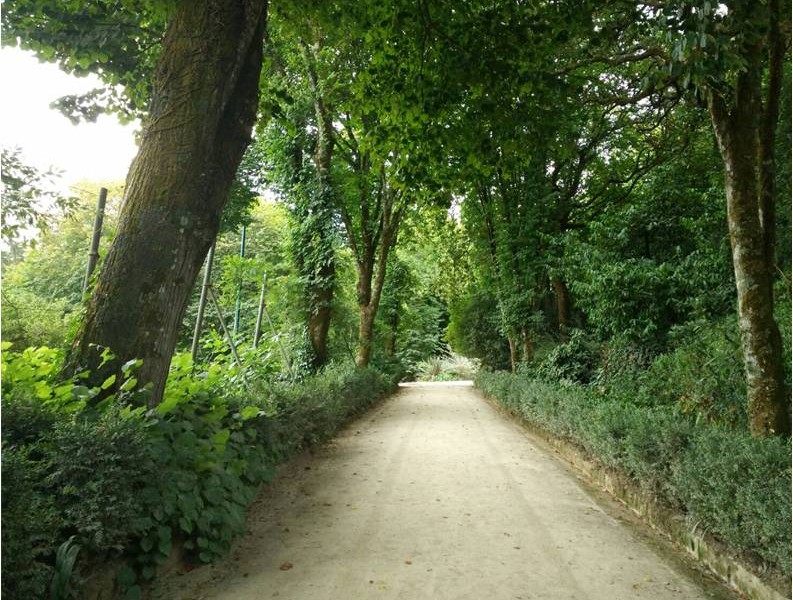 Sintra, uma vila verde