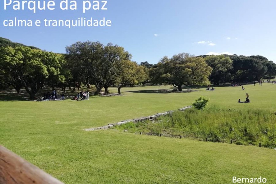 Parque da Paz