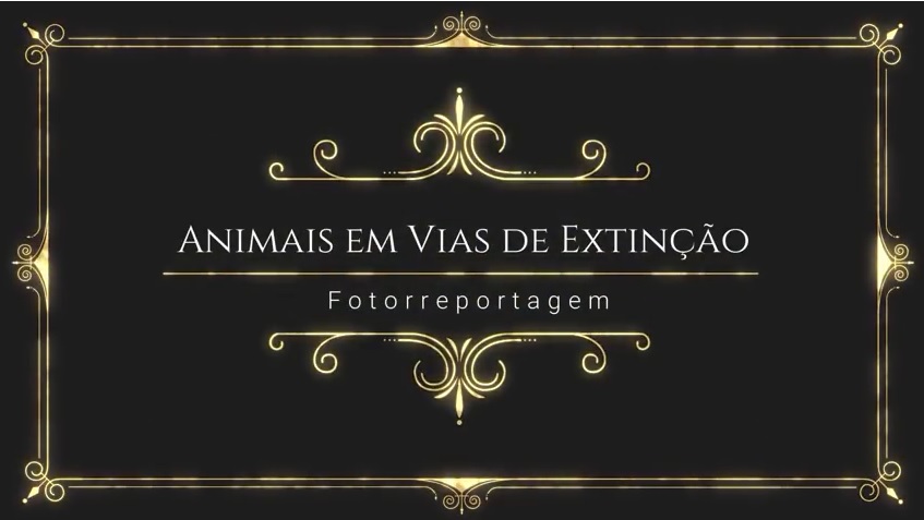 Animais em vias de extinção