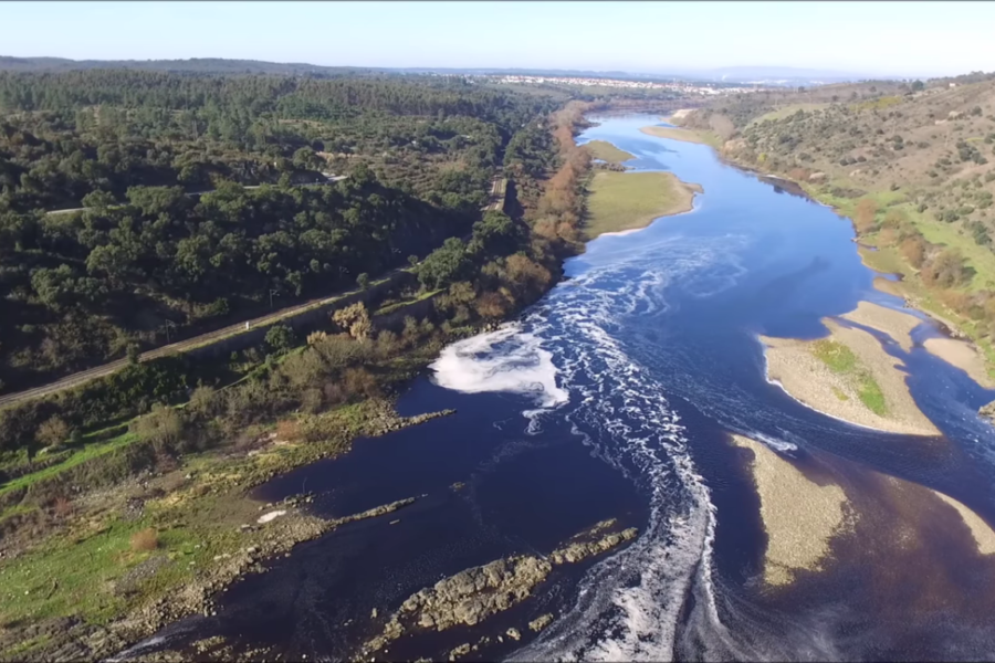 É preciso salvar o Tejo