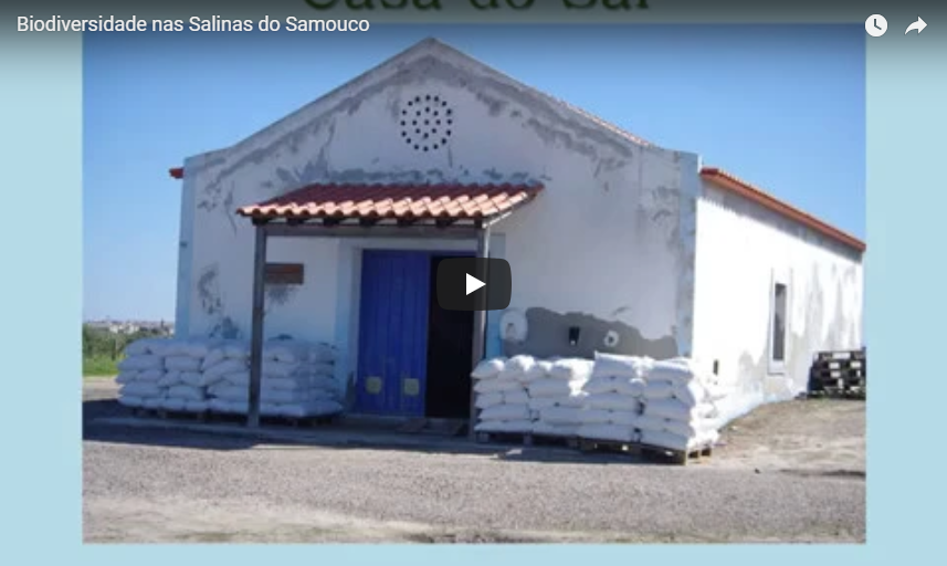 Biodiversidade nas Salinas do Samouco