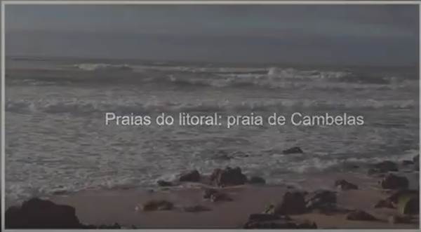 A biodiversidade na Praia de Cambelas