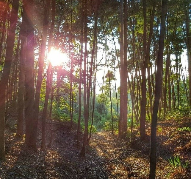 Proteção da Serra de Canelas