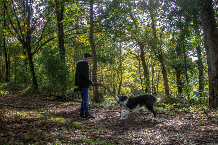 Simbiose entre Homem, Animal e Natureza. A cooperação de ambos.