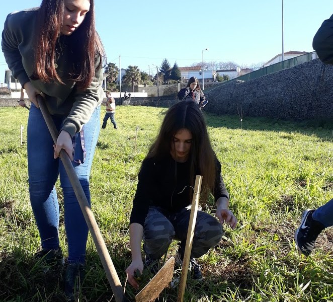 Plantação em Esmeriz