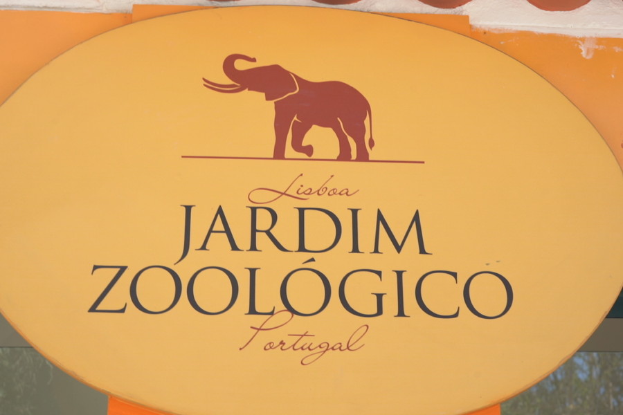 Missão JRA “ex situ” 2019 no Jardim Zoológico de Lisboa