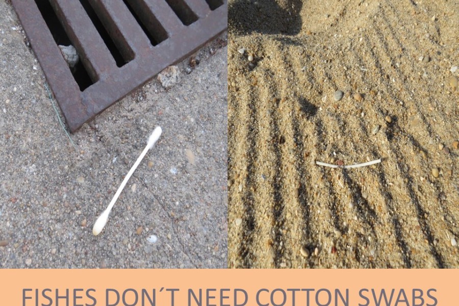 Fishes don’t need cotton swabs