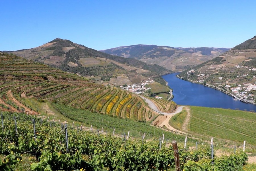 Quinta Dos Murças, Wine, Tourism and Sustainability