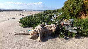 A track of trash was pushed onto Vila Nova de Gaia beaches by the storm Helena