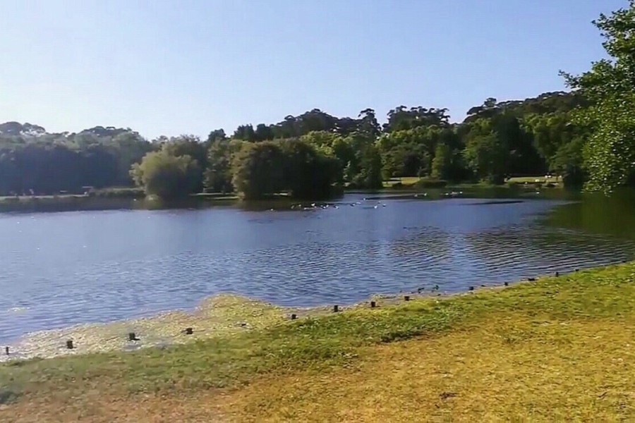 Passeios no parque ou filmes no sofá?