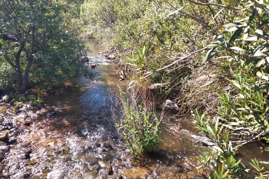 ODELEITE – PARAÍSO DE BIODIVERSIDADE