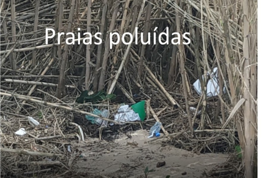 Poluição nas praias” / “Polluted beaches