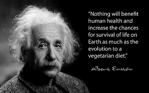 Vegetarianism – A lifestyle that can help our future