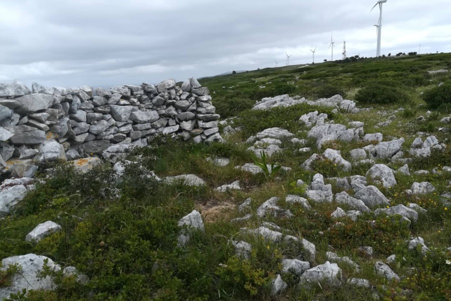 O Calcário da Serra de Aire e Candeeiros