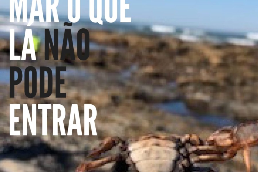 Não deites ao mar o que lá não pode entrar