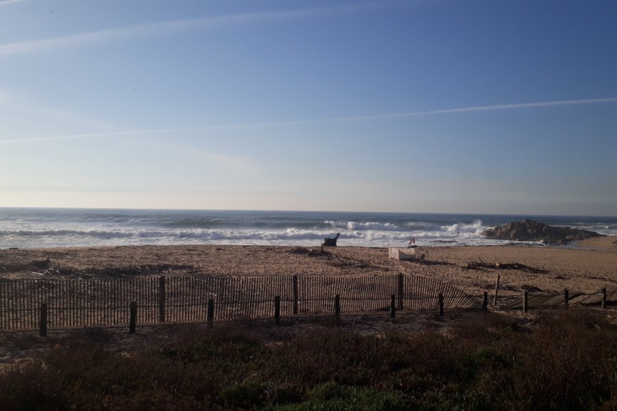 O litoral e o efeito das tempestades