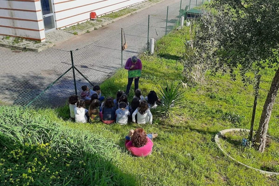 Biodiversidade vegetal na envolvente da horta, na escola