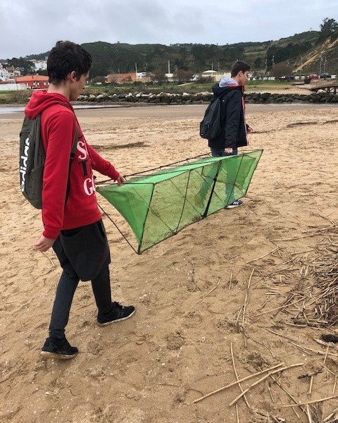 Armadilha ilegal encontrada na Baía de São Martinho do Porto