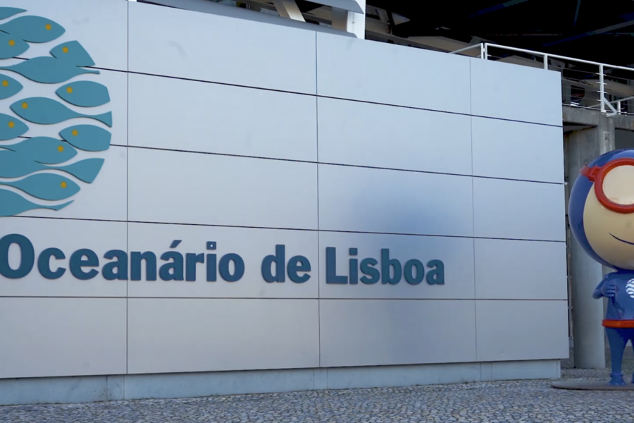 Oceanário de Lisboa: por oceanos nunca navegados