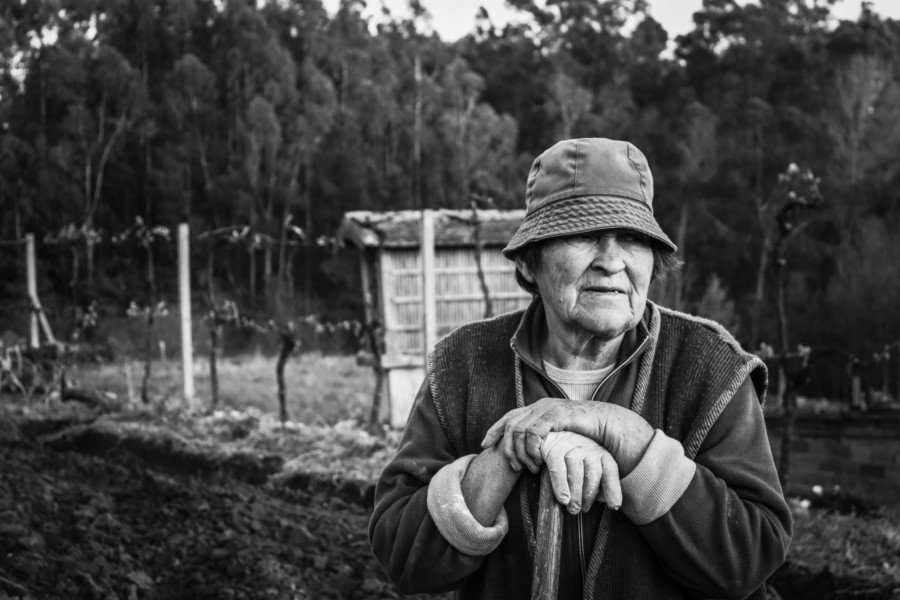 Pandemia não trava os pequenos agricultores