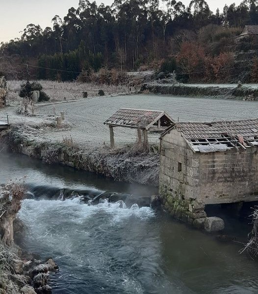 As zonas húmidas, um ecossistema a preservar