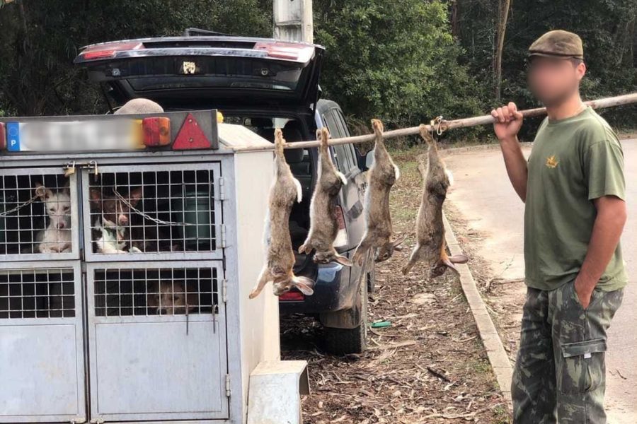 A vida selvagem e a caça