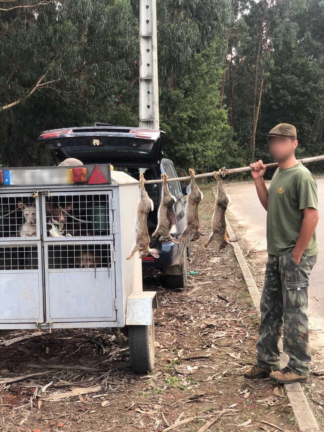 A vida selvagem e a caça