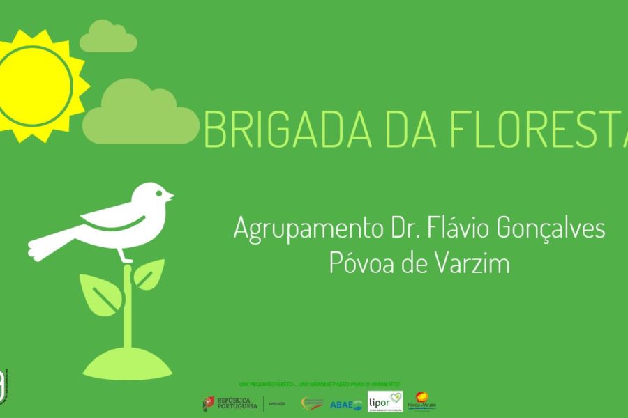 Brigada da Floresta em Ação