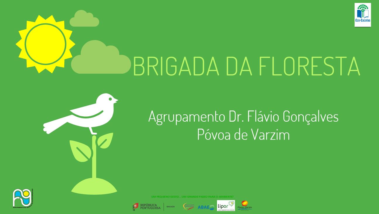 Brigada da Floresta em Ação