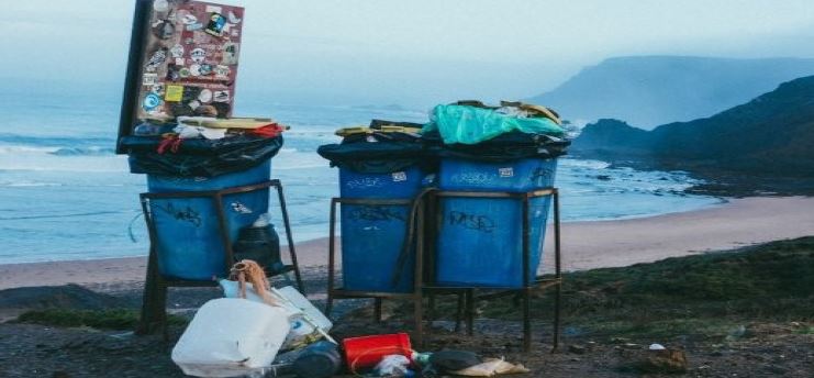 Poluição ambiental