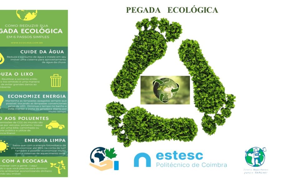 Pegada ecológica – O teu estilo de Vida