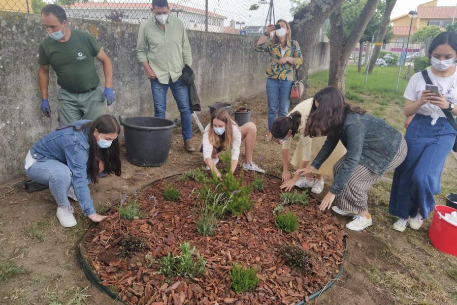 Brigada da Floresta Eco-Escolas em ação