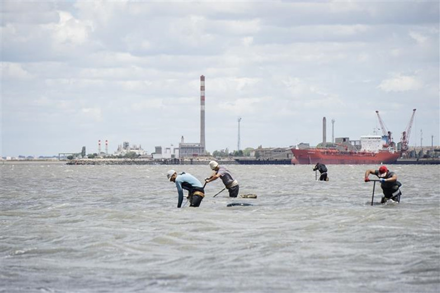 DESSI – A poluição e a apanha de bivalves no Tejo