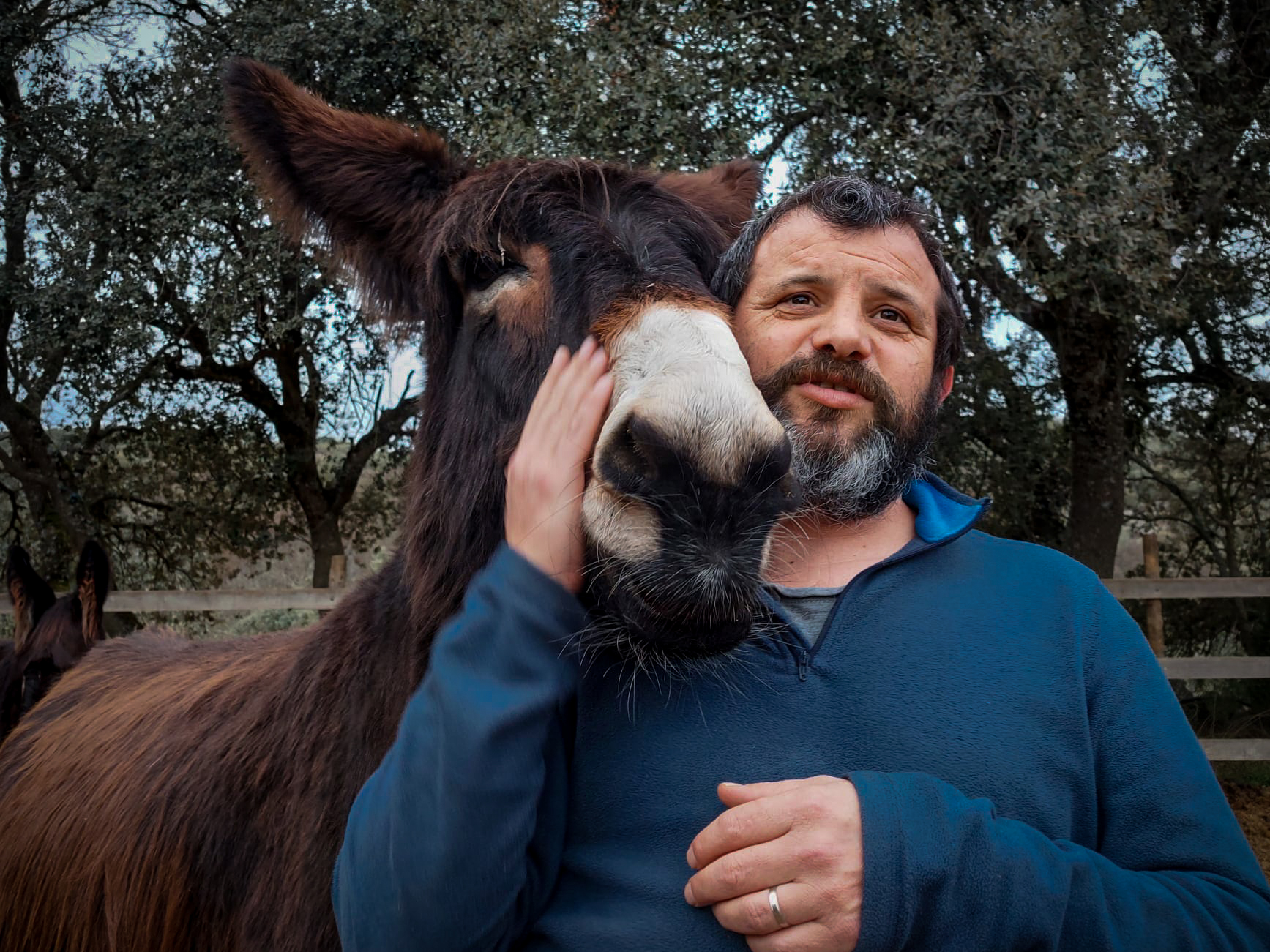 Miguel fundou a AEPGA (Associação para o Estudo e Proteção do Gado Burro), uma associação que protege a espécie Burro de Miranda, que já cuida de quase 60 burros.