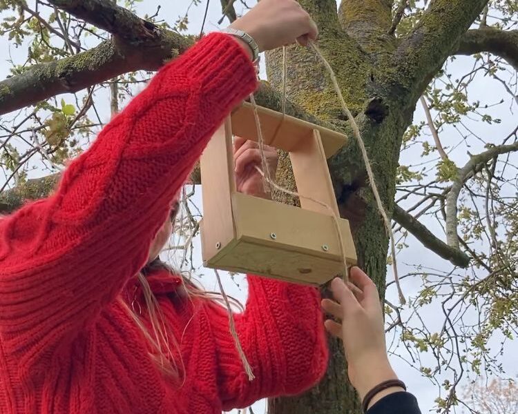 Casas abrigo e comedouros para passeriformes no Barreiro